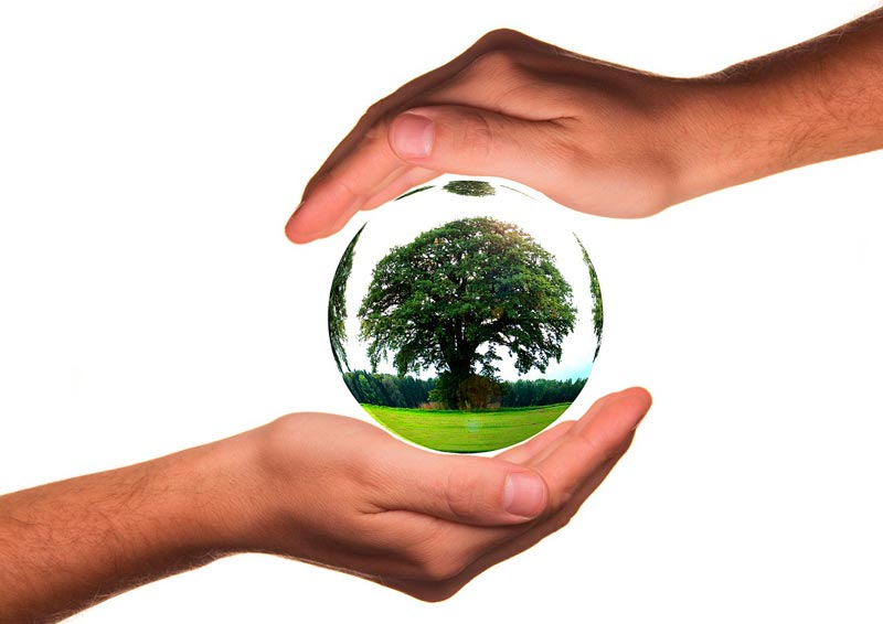 Eco Etiquetas de Tipo 3