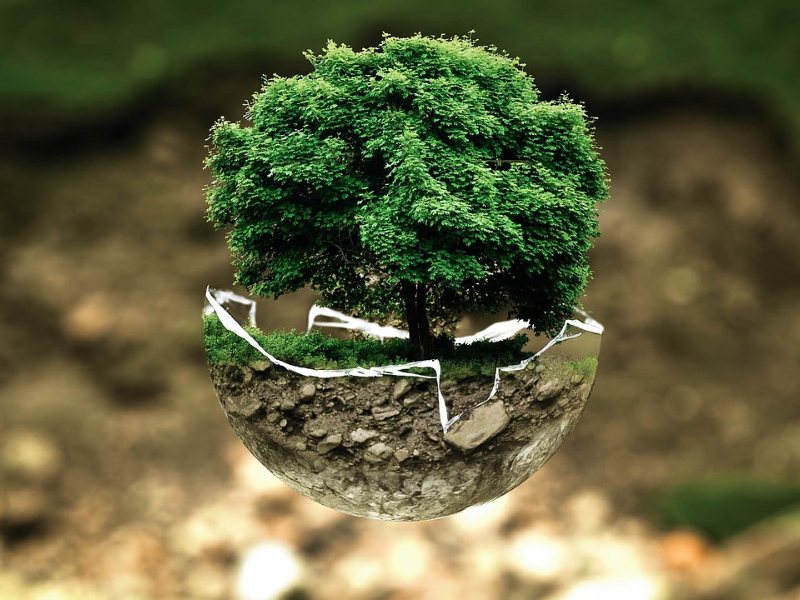 environmental-protection-683437_1280