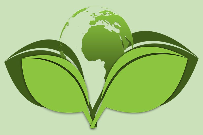 Iso 14025 fomenta la demanda y el suministro de productos 